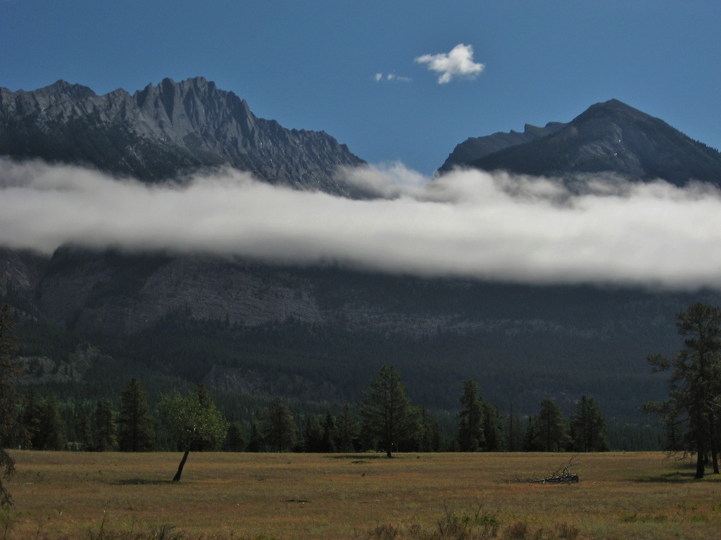 clouds and grass \n (Click for next picture)